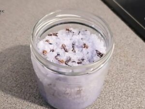 Secret to Keeping Your Home Smelling Amazing DIY Air Freshener